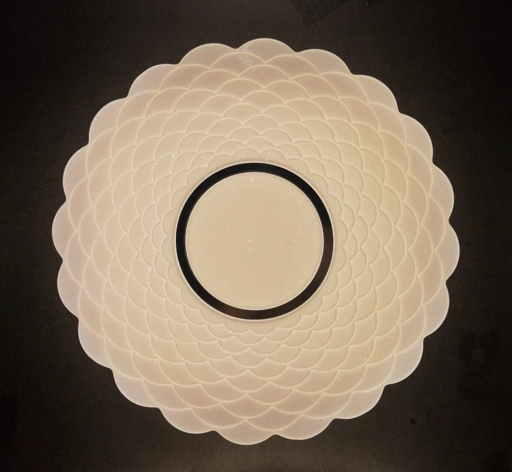 FDL Beautiful Ceiling Led Light 16" 3 IN 1 COLOR With Remote, For Indoor