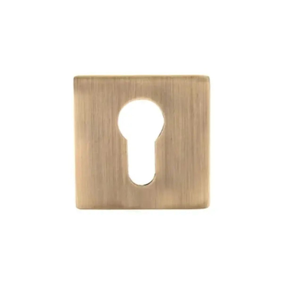 Archis Mortice Handle | Scratch Free & Durable | Pre-Drilled Holes For Easy Installation